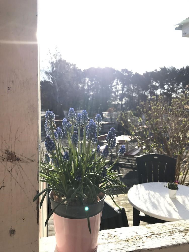 Ronne Vandrerhjem Rønne Exterior foto